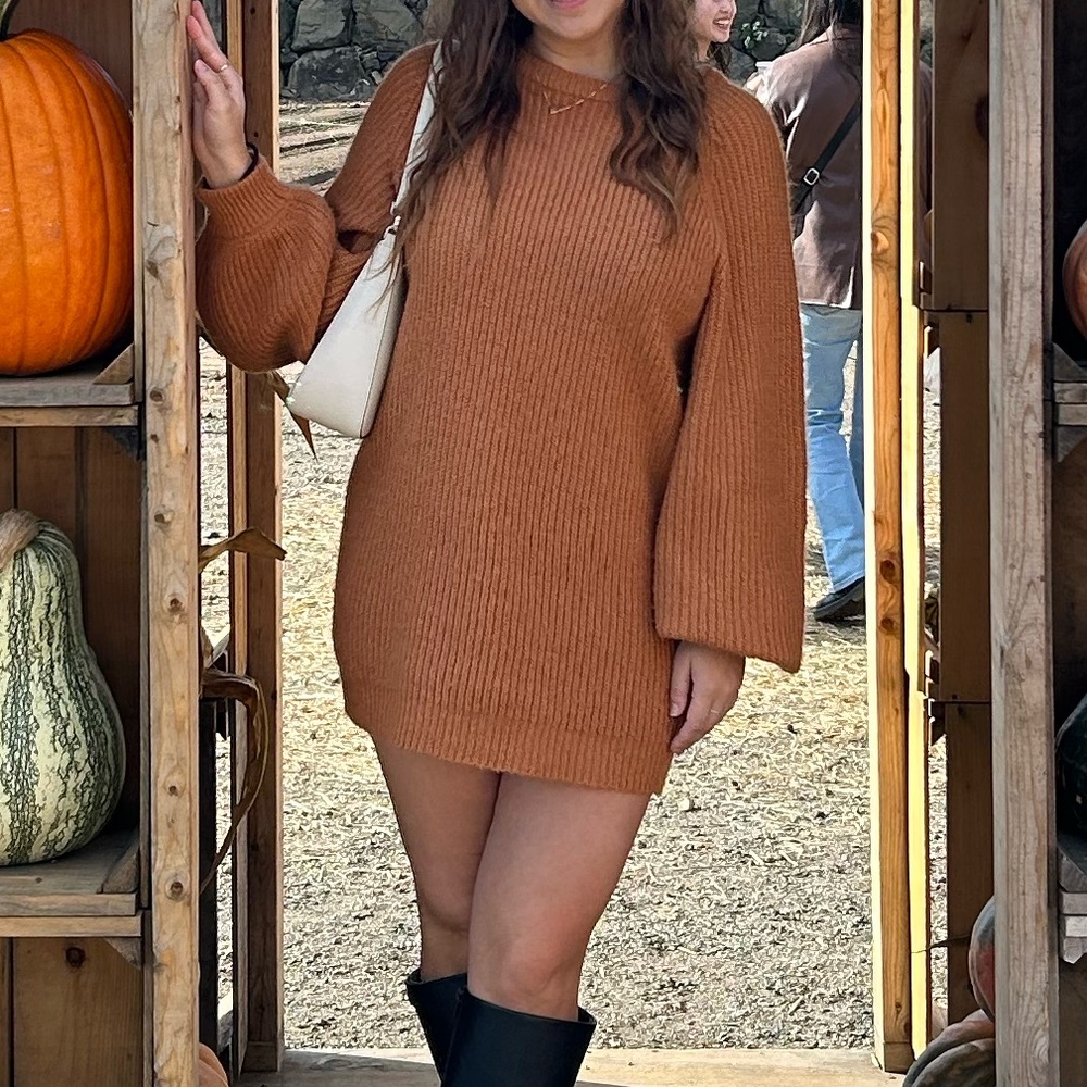 Forever 21 Knit Sweater Dress